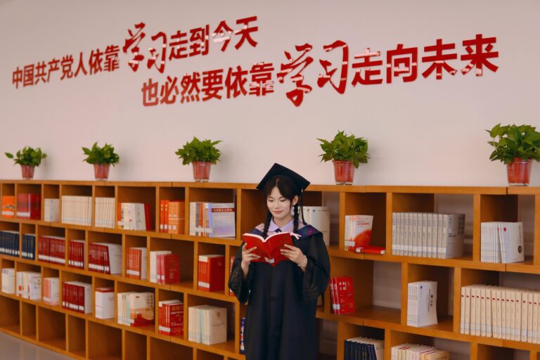 chinese goverment scholarships